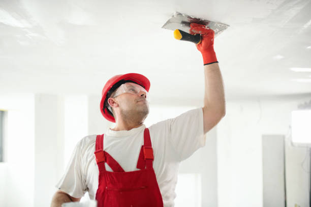 Professional Painting in North Aurora, IL